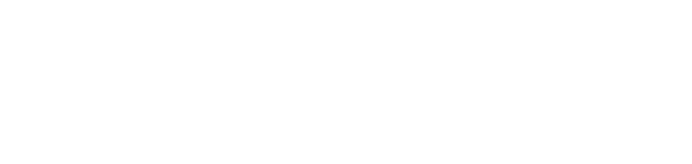 AMD Logo White2
